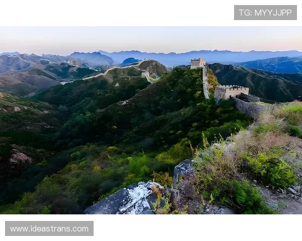 非洲雄狮崛起象征大地力量与生态复兴的壮丽篇章 - 副本 (3) - 副本 非洲雄狮崛起象征大地力量与生态复兴的壮丽篇章 - 副本 (3) - 副本