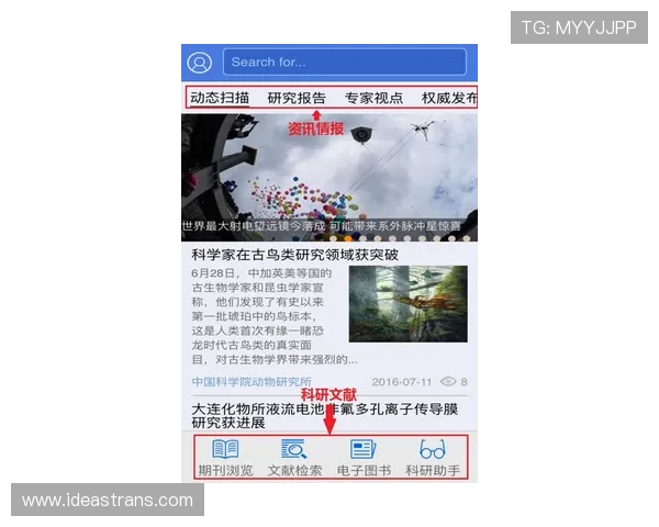 世界杯最新赛事动态全览及权威平台资讯深度解析 - 副本 世界杯最新赛事动态全览及权威平台资讯深度解析 - 副本
